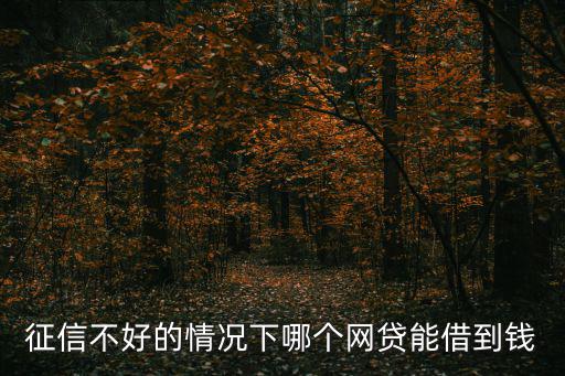征信不好的情況下哪個網(wǎng)貸能借到錢