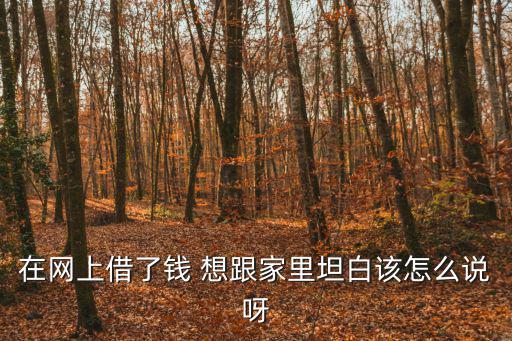 在網(wǎng)上借了錢 想跟家里坦白該怎么說呀