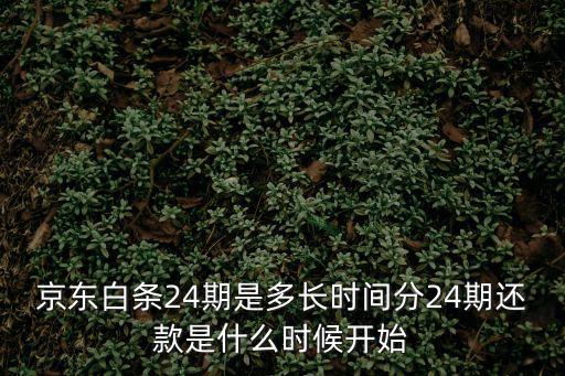 京東白條分期了怎么還款日期，京東白條怎么還款我的白條還款日是每月4號(hào)那么我是要在3號(hào)前