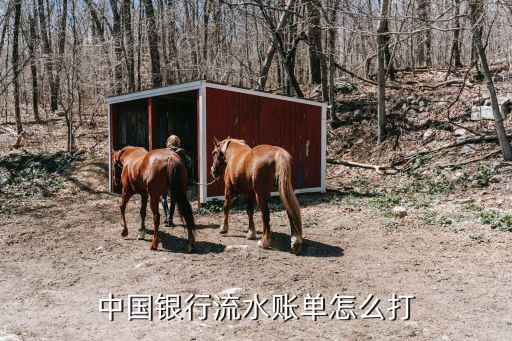 中國銀行流水賬單怎么打