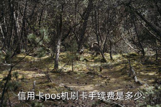 信用卡pos機(jī)刷卡手續(xù)費(fèi)是多少