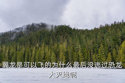 翼龍?jiān)趺幢Ｗo(hù)自己，我的世界電腦版怎么讓龍跟隨自己保護(hù)自己