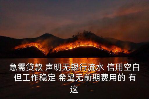 急需貸款 聲明無銀行流水 信用空白 但工作穩(wěn)定 希望無前期費用的 有這