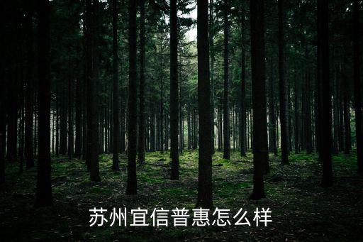 蘇州宜信普惠怎么樣