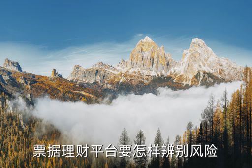 票據(jù)風(fēng)控該怎么做，票據(jù)風(fēng)控主要做什么