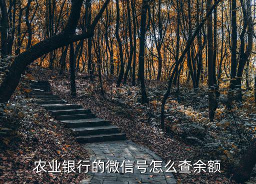 農(nóng)業(yè)銀行的微信號(hào)怎么查余額