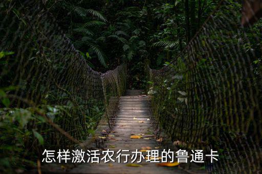 怎樣激活農行辦理的魯通卡