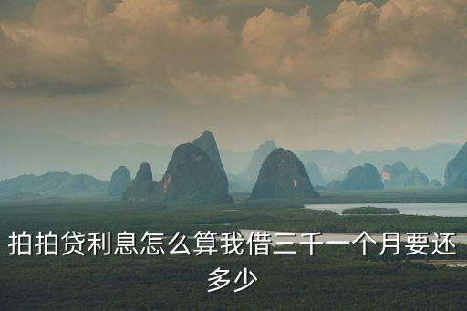 拍拍貸利息怎么算我借三千一個月要還多少