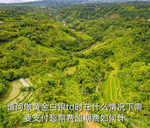 請(qǐng)問(wèn)做黃金白銀td時(shí)在什么情況下需要支付超期費(fèi)超期費(fèi)如何計(jì)