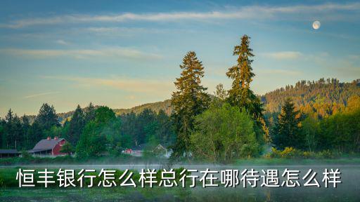 恒豐銀行怎么樣總行在哪待遇怎么樣