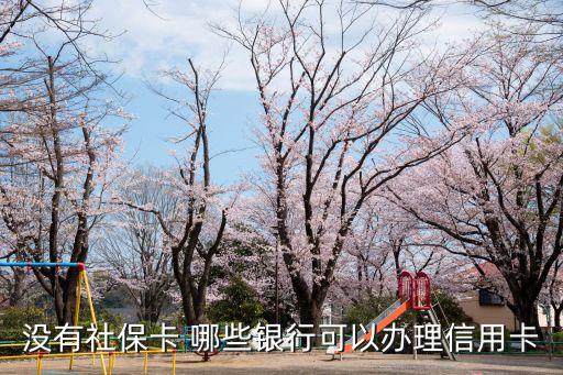 沒(méi)有社?？?哪些銀行可以辦理信用卡