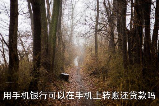 用手機(jī)銀行可以在手機(jī)上轉(zhuǎn)賬還貸款嗎