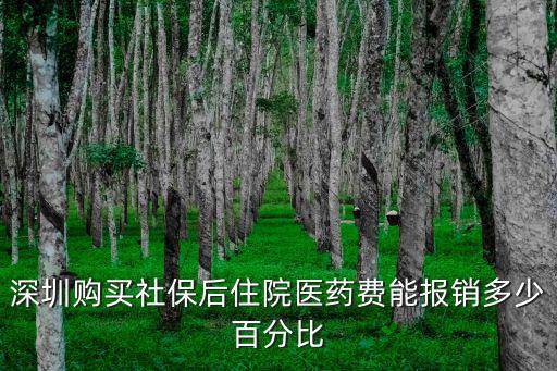 深圳購買社保后住院醫(yī)藥費能報銷多少百分比