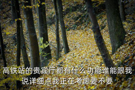 高鐵站的貴賓廳都有什么功能誰能跟我說詳細點我正在考慮要不要