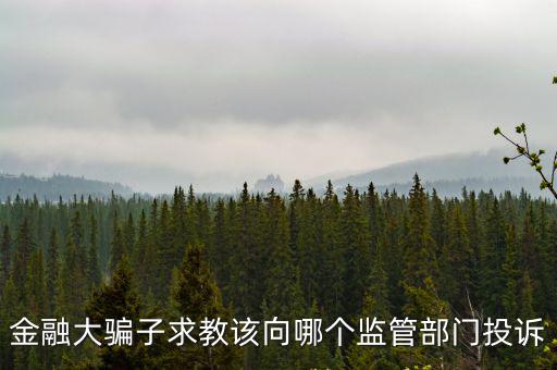 金融大騙子求教該向哪個(gè)監(jiān)管部門投訴