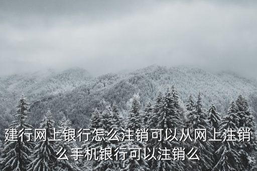 建行網(wǎng)上銀行怎么注銷可以從網(wǎng)上注銷么手機(jī)銀行可以注銷么