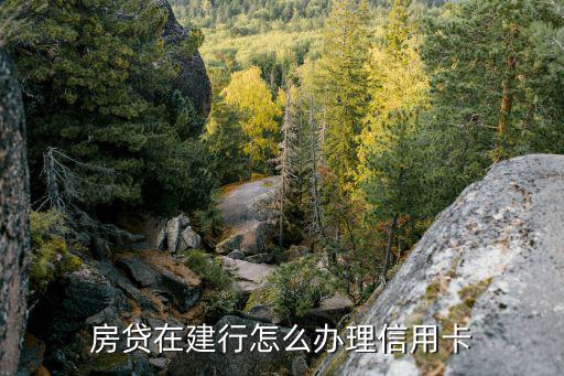 房貸在建行怎么辦理信用卡