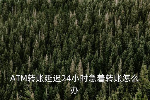 銀行延時(shí)到賬怎么辦，ATM轉(zhuǎn)賬延遲24小時(shí)急著轉(zhuǎn)賬怎么辦