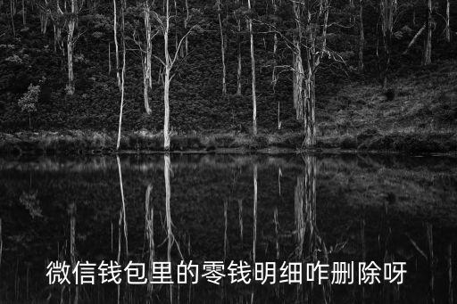 微信錢包余額記錄怎么刪除嗎，微信零錢明細(xì)怎么刪除