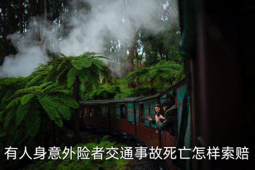 意外保險身故怎么賠償，有人身意外險者交通事故死亡怎樣索賠
