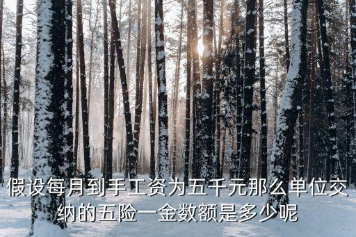 假設(shè)每月到手工資為五千元那么單位交納的五險(xiǎn)一金數(shù)額是多少呢