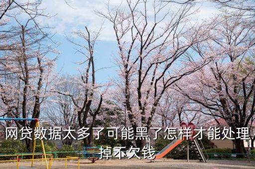 網(wǎng)貸數(shù)據(jù)太多了可能黑了怎樣才能處理掉不欠錢(qián)