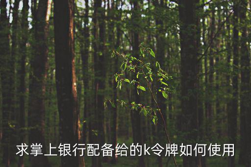 求掌上銀行配備給的k令牌如何使用