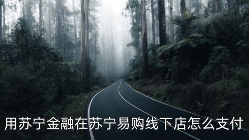 蘇寧怎么付款方式，用蘇寧金融在蘇寧易購(gòu)線下店怎么支付