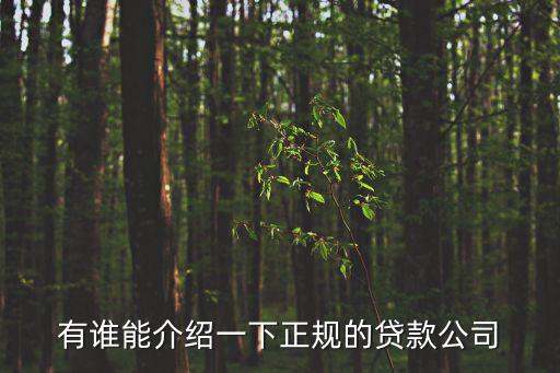 怎么介紹貸款公司簡(jiǎn)介，有誰(shuí)能介紹一下正規(guī)的貸款公司