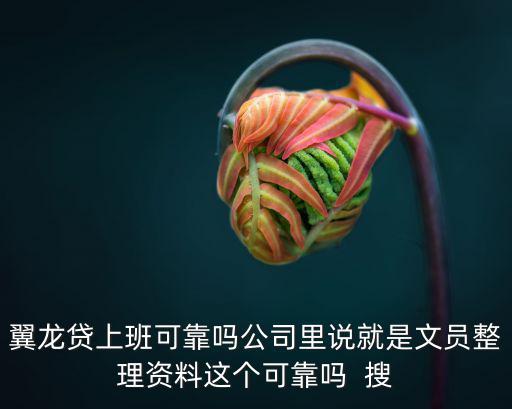 翼龍貸上班可靠嗎公司里說就是文員整理資料這個可靠嗎  搜