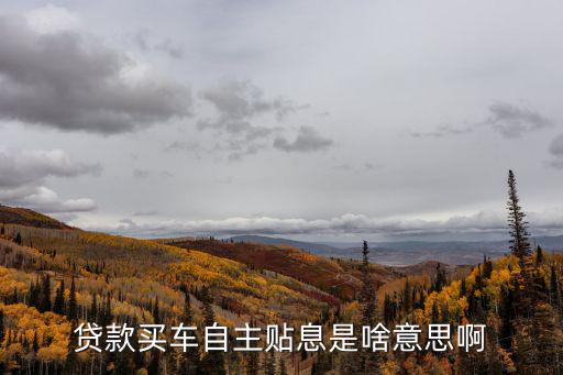 貸款買車自主貼息是啥意思啊