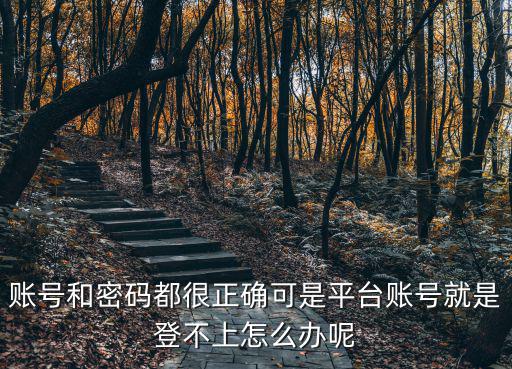 賬號(hào)和密碼都很正確可是平臺(tái)賬號(hào)就是登不上怎么辦呢