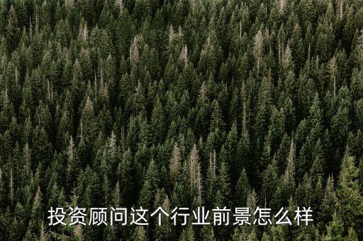 投資顧問這個行業(yè)前景怎么樣