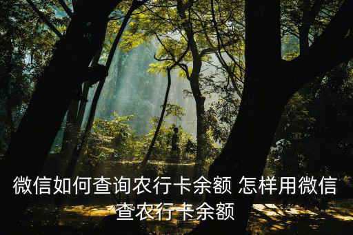 微信農(nóng)行卡怎么查余額，農(nóng)業(yè)銀行卡手機(jī)上怎么查余額