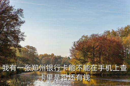 我有一張鄭州銀行卡能不能在手機(jī)上查卡里是否還有錢