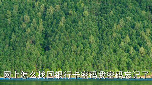 網(wǎng)上怎么找回銀行卡密碼我密碼忘記了