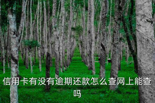 信用卡有沒有逾期還款怎么查網(wǎng)上能查嗎