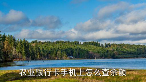 農(nóng)業(yè)銀行卡手機(jī)上怎么查余額