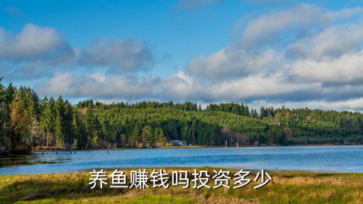 怎么投資趣養(yǎng)魚(yú)，趣養(yǎng)魚(yú)平臺(tái)有APP嗎
