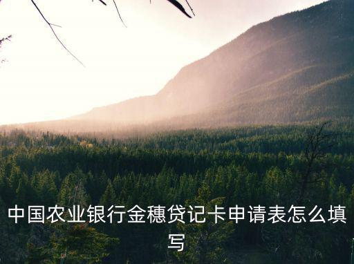 中國農(nóng)業(yè)銀行金穗貸記卡申請(qǐng)表怎么填寫