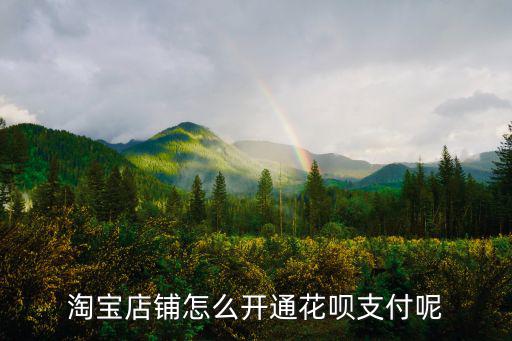 淘寶店鋪怎么開(kāi)通花唄支付呢