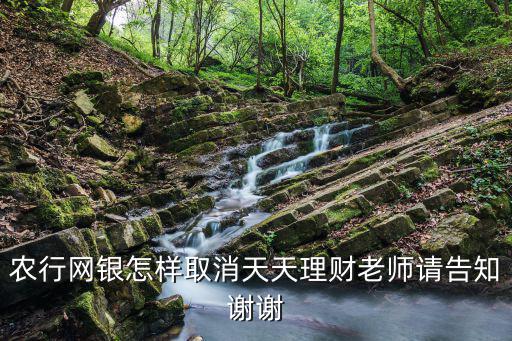 農(nóng)行網(wǎng)銀怎樣取消天天理財(cái)老師請(qǐng)告知謝謝