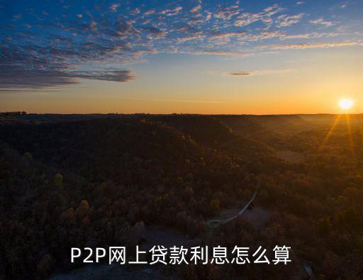 P2P網(wǎng)上貸款利息怎么算