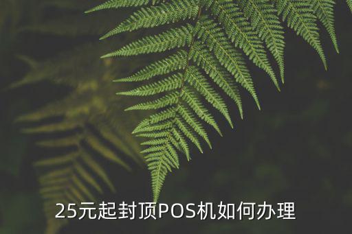 25元起封頂POS機如何辦理