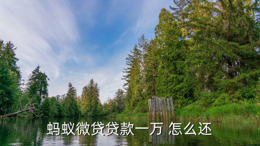 怎么還螞蟻微貸的錢嗎，螞蟻微貸怎么還款沒有銀行卡怎么還