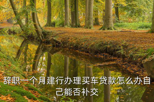辭職一個(gè)月建行辦理買(mǎi)車(chē)貸款怎么辦自己能否補(bǔ)交
