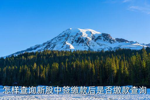 怎么查中簽是否繳款，看圖請問我新中簽的股票是否成功繳款