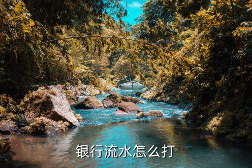 銀行流水怎么打