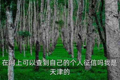 天津征信證明怎么開，天津哪個(gè)銀行打征信證明