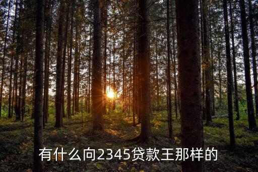 有什么向2345貸款王那樣的